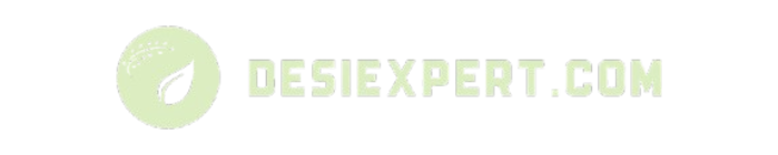 DesiExpert.com Retina logo