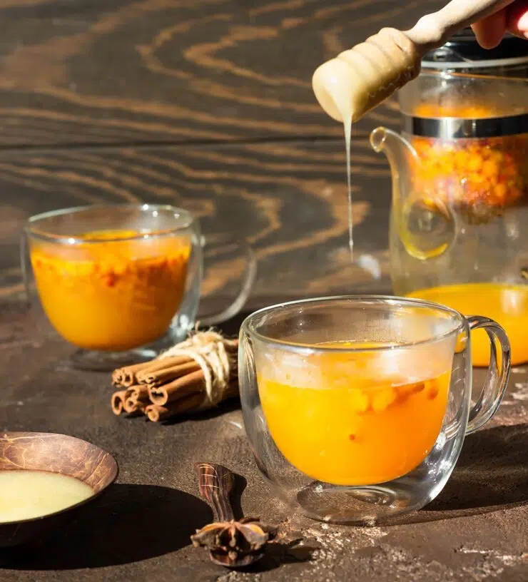 Detox Drinks for Kids by DesiExpert.com