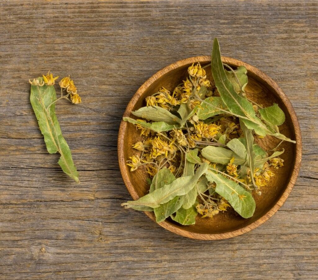 Home Remedies for Sugar Control | Diabetes Totkay by DesiExpert.com