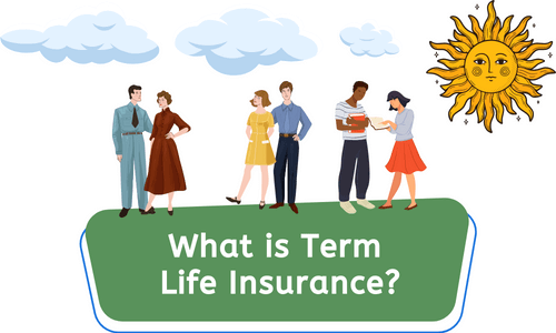 term life insurance meaning pakistan by DesiExpert.com